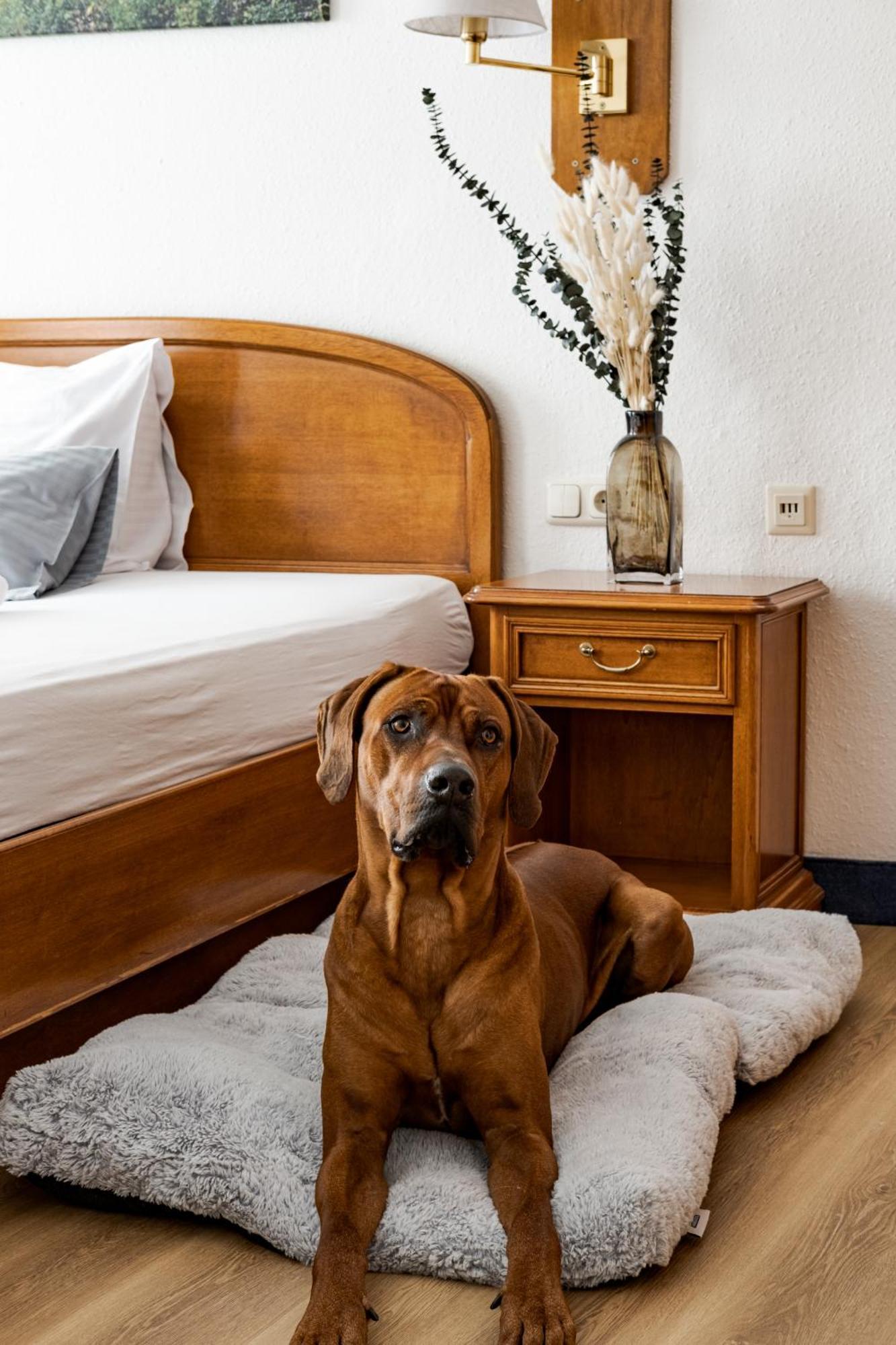 Hotel Goldener Hirsch Kaufbeuren Luaran gambar
